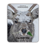 Load image into Gallery viewer, 【北海道大雪咖啡】北海道動物絕景照片包裝 濾掛式咖啡包【包運費】
